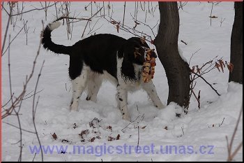 J u jsem si svoje nala, ale e roste jdlo na stromech to jsem opravdu teda netuila.